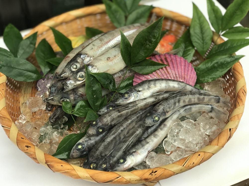 戸田で人気の深海魚達 メヒカリ中 メギス 農家漁師から産地直送の通販 ポケットマルシェ