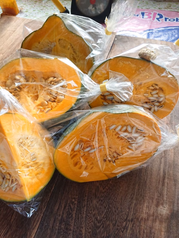 夏野菜　5品目セット【無農薬】ジャガイモ、カボチャ、オクラ、ナス、ピーマン