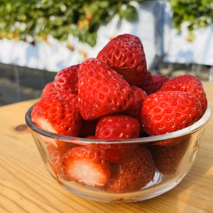 削りいちご用　冷凍いちご(紅ほっぺ)