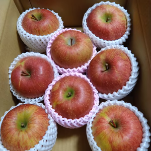 山形高畠町産「葉取らずふじりんご」大玉8個〜10個（家庭用）