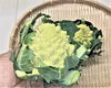 ロマネスコ(特別依頼品）　農薬不使用（無農薬）栽培