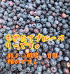 山の自然が育てたブルーベリー
