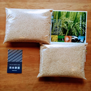 一等米✨【無農薬コシヒカリ】玄米4kg（2kg×2袋）【80】令和6年産