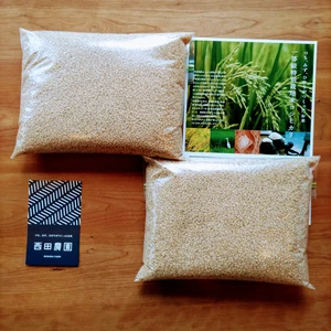 【無農薬コシヒカリ】玄米4kg（2kg×2袋）【80】令和4年産 有機肥料のみ