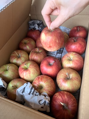 みんなの投稿の画像