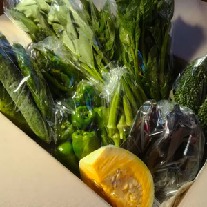 晩夏の露地野菜セット(Sサイズ）【肥料、農薬不使用】