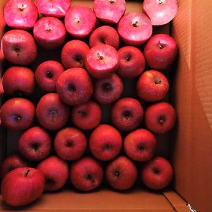 長野県産サンふじ小粒リンゴ5kg