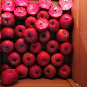 長野県産サンふじ小粒リンゴ5kg