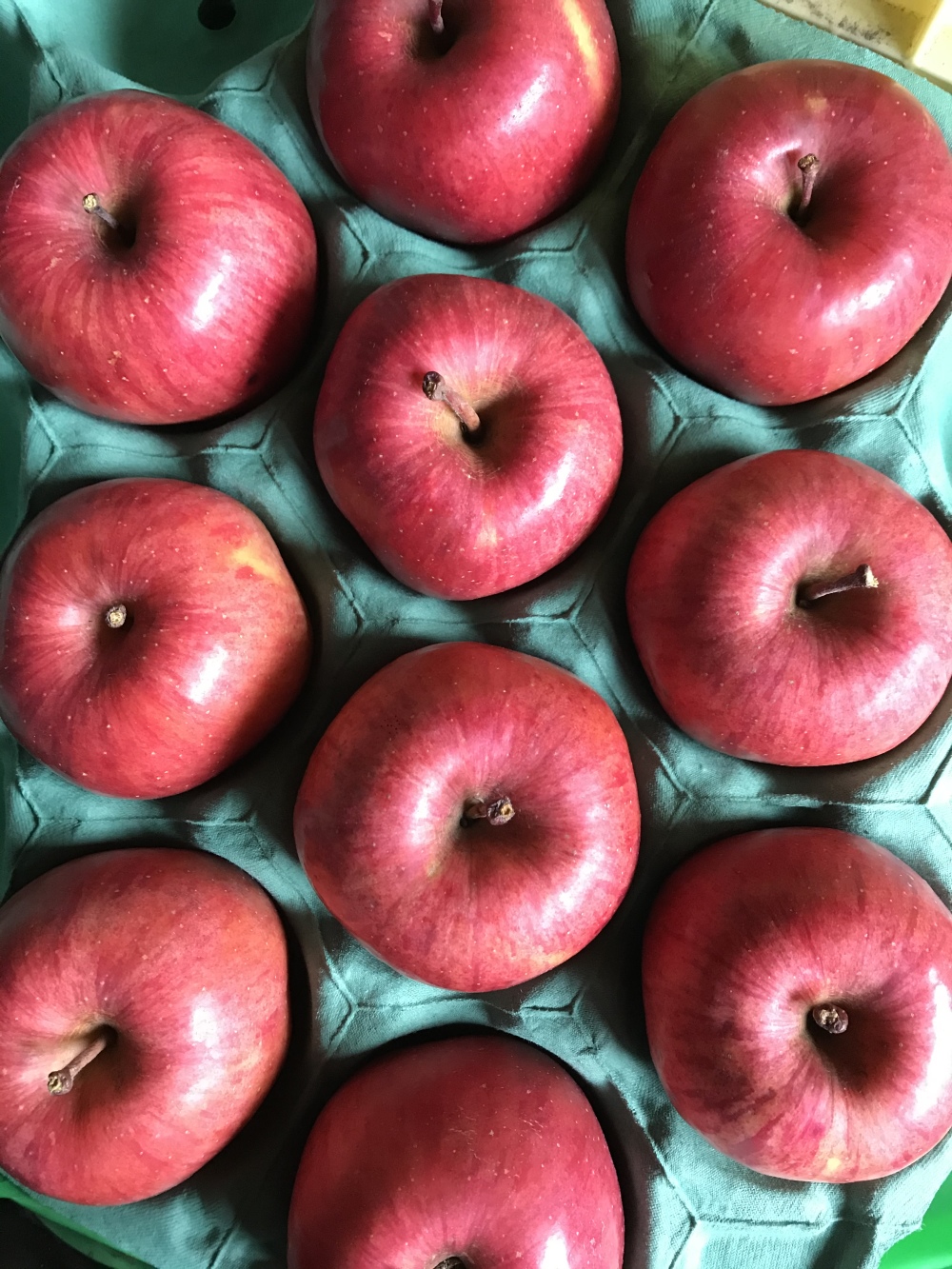 予約開始 減農薬 ギフト用 サンふじりんご 各サイズ有り 3キロ箱いり10玉