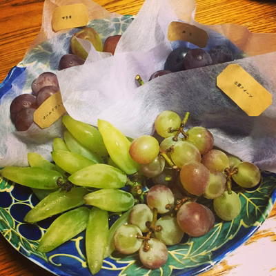 みんなの投稿の画像