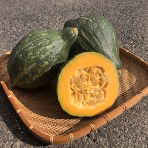 【小さめ】かぼちゃ『ロロン』