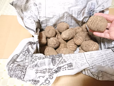 みんなの投稿の画像