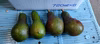 アボカド