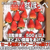 【2026キックオフセール】べにほっぺ30ｇ以上の大粒をたっぷり500g
