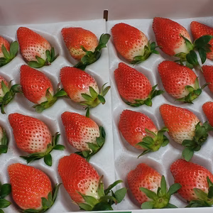 あま～いあま～い群馬産やよいひめ