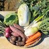 【農薬・化学肥料不使用】冬野菜Lセット（9品目前後）