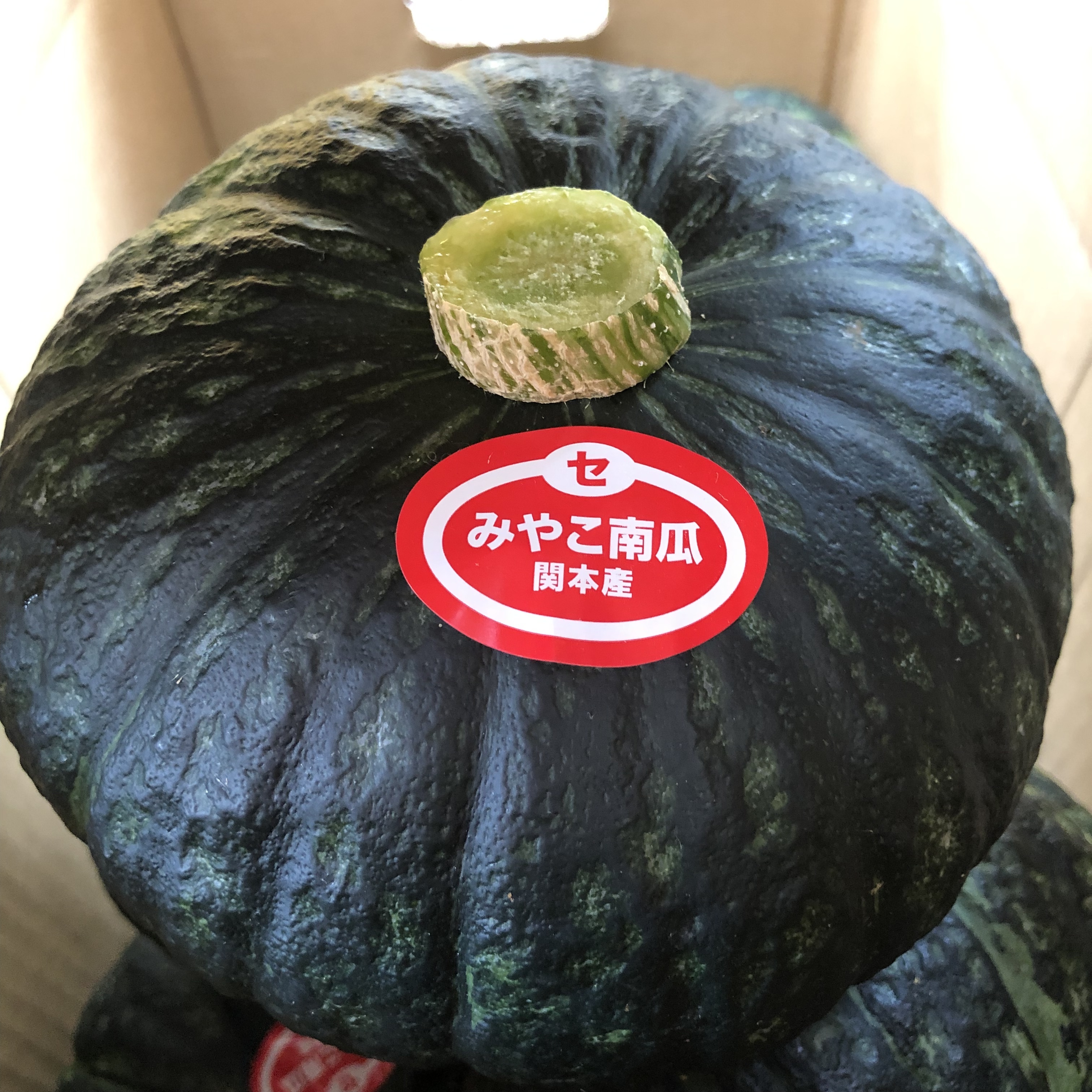 茨城県北茨城市｜つねちゃんファーム｜中根常子さんの生産者