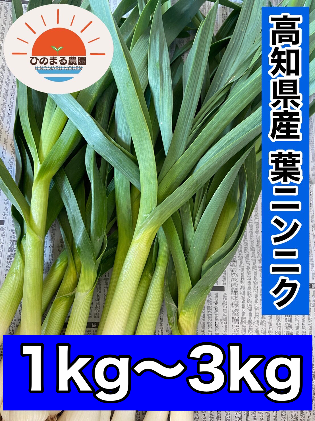 葉ニンニクの産直通販・お取り寄せ商品｜ポケットマルシェ｜産地直送で