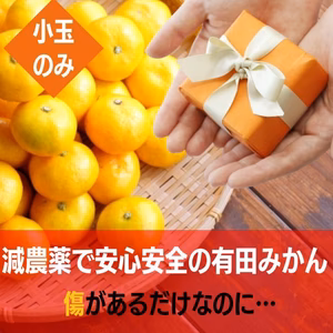 訳あり 小玉 小粒 減農薬 甘い うまい 安いの有田みかん  早生