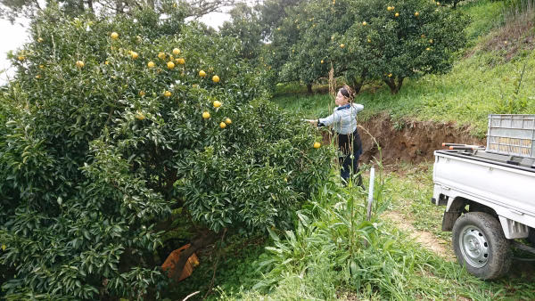 角田自然農園