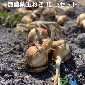 農家直送！里山育ちの無農薬玉ねぎ 10㎏セット