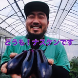 堀田健一 | マルホ農園