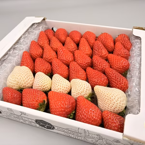 3種紅白いちご800g 紅ほっぺ×天使のいちご×おまけ1品種 