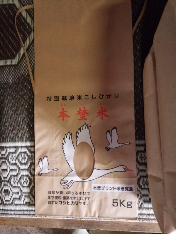 29年度新米、美味しいお米本埜米3キロ