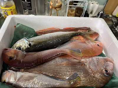 みんなの投稿の画像