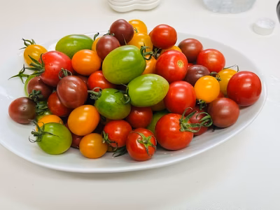 みんなの投稿の画像