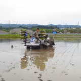 村山佳宏 | 農園　要八