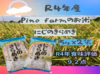 R4年産　Pino farmのお米　にじのきらめき  10㎏