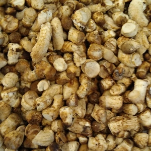 椎茸の軸　1.5kg　菌床椎茸　 農薬不使用　冷凍可能