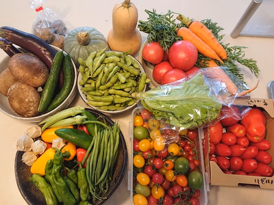 みんなの投稿の画像