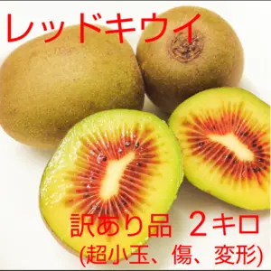 訳あり！レッドキウイ2キロ とろける食感・糖度20度前後の極上の甘さの