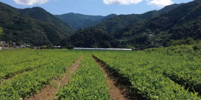 「隠れた名品」が眠る土地。自然に囲まれた「四国」の魅力とはーー