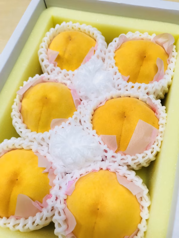 岡山の桃　ゴールデンピーチ　ご自宅用　お試しサイズ