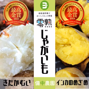 「最高金賞受賞」零熟インカのめざめと零熟きたかむいセット（サイズ混在）