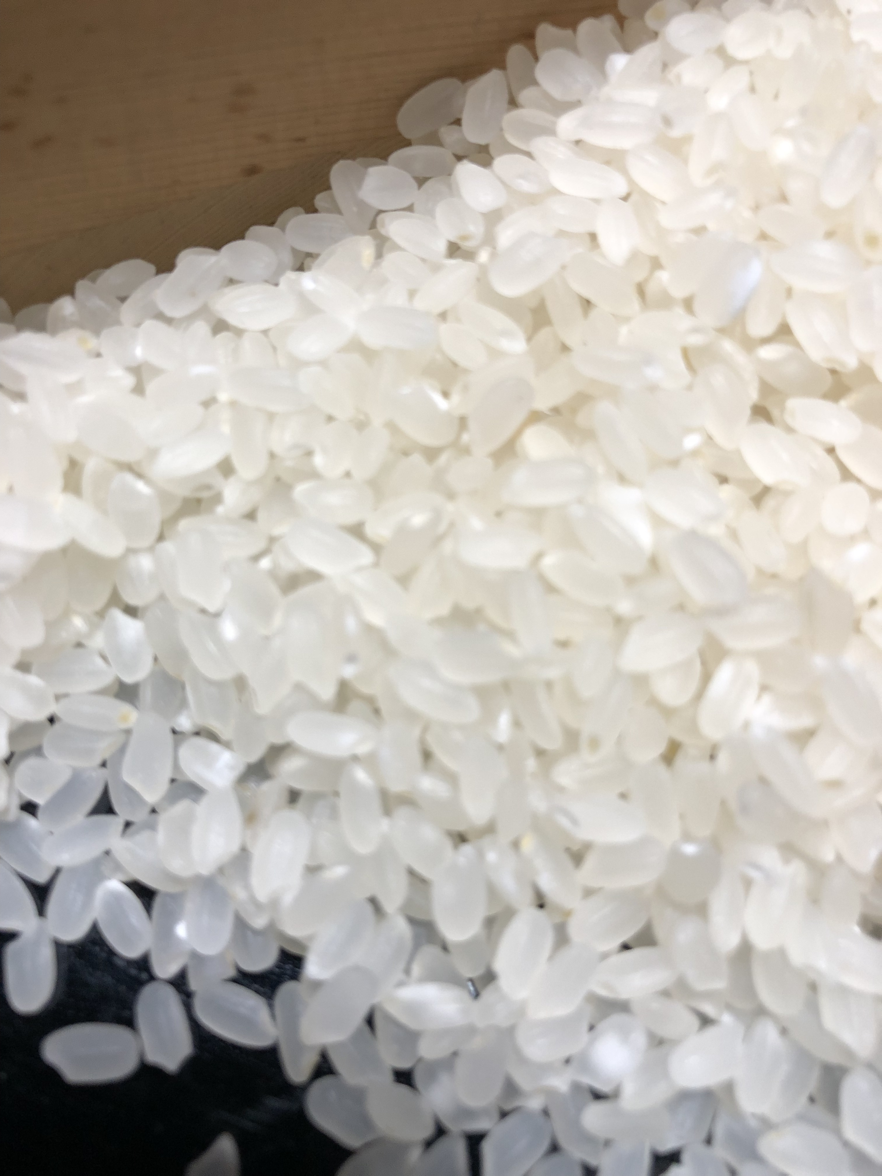 いのちの壱 白米9kg (令和7年産)｜米・穀類の商品詳細｜ポケット