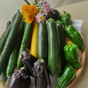 北信州のお野菜   まごころボックス