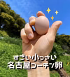 ちっっっさ‼( ﾟДﾟ)！すごい小さい名古屋コーチンのたまご36個