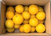 【訳アリ】宮崎県産（早生品種）日向夏
