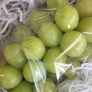 温室シャインマスカット　1房（約450g～500ｇ）