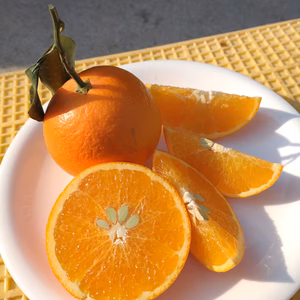 【訳あり】加工用　広島県産　プリンス清見‼️5kg(箱込み)