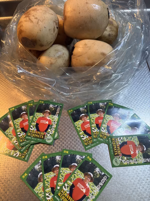 みんなの投稿の画像