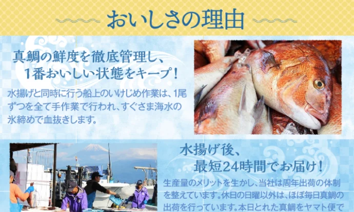 鯛ごま茶漬け＆鯛だし(4人前) ・鯛みそ80g・鯛煮付け8パック