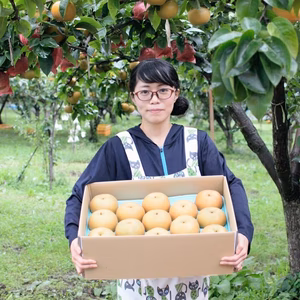 【特別栽培農産物】生産者一押し！とにかく甘い！和梨の南水