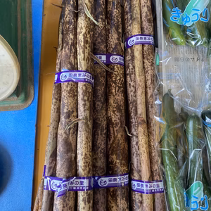 今朝どれ　真竹　9本