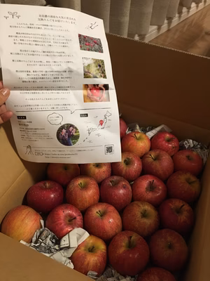 みんなの投稿の画像