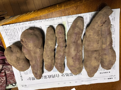 みんなの投稿の画像